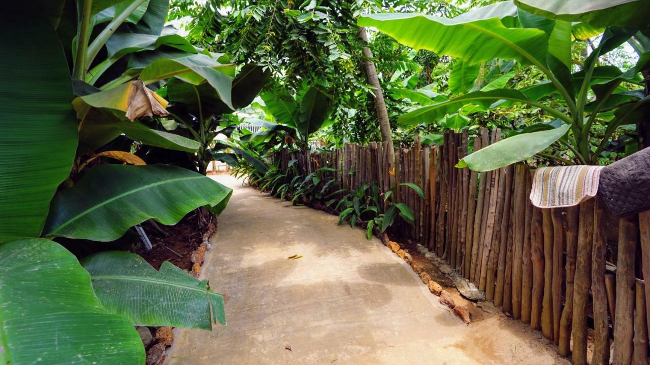 The Family Kingdom Resort Freetown Exterior photo